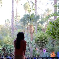 shuangling li's Photo