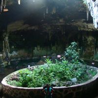 Majo Giraldo's Photo