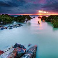 volkan türkoğlu's Photo