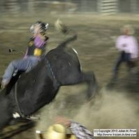 Blaire Campbell's Photo