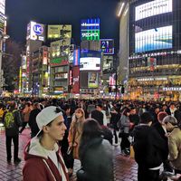 Sasha Lextor's Photo