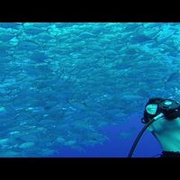 Reece Gledhill的照片