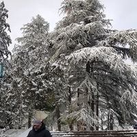 Ala'a Ta'ani的照片