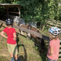 Matthias Kuster's Photo