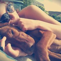 Fotos de Kriszta Király