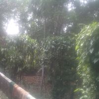 ELDO M MATHAI's Photo