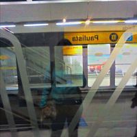 Paula Davies's Photo