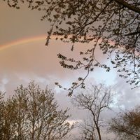 Fotos von Cara Mikesell