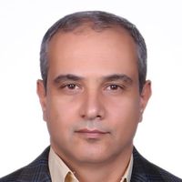 Le foto di Farshid Zamani