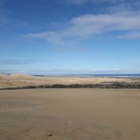 Davey Milich的照片