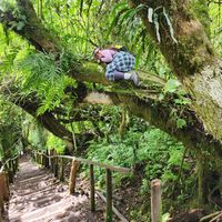 Pauline Santana's Photo