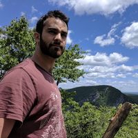 Idan Sasson的照片