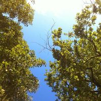 Yaku Fernandez Landa的照片