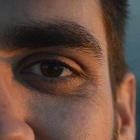 Henrique Cestaro的照片