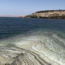 Dead Sea Day Trip from Amman (Local Style)'s picture