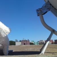 Vinicius Vilar's Photo