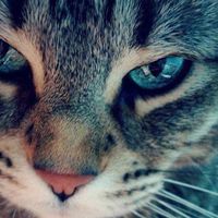 Fotos de Ruslan Larionenko