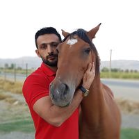 Meraj Farhadi's Photo