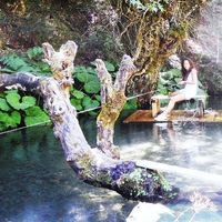 Vasiliki Kon's Photo