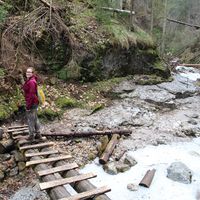 Aileen Thomas的照片