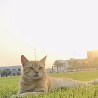 Ahamed Aaqil's Photo