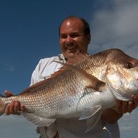 Paul  Jarman的照片