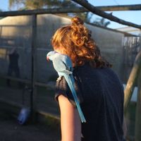 Amelie Phleps's Photo