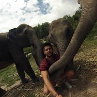 Fotos de Diego Arreola Dosal