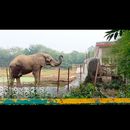 Bilder von National Zoological Park, Delhi