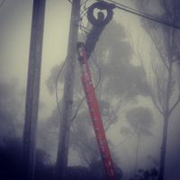 Fotos de Andres Fabian