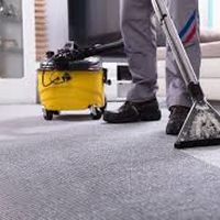 Carpet Cleaning  Abbotsford's Photo