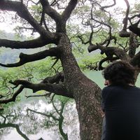 Diego Aguirre Cruzaley的照片