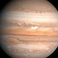 Izis Mueller's Photo