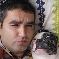 persian Ranjbar's Photo