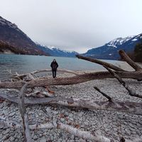 Lele Della Torre's Photo