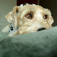 Kirsty van der Westhuizen's Photo