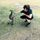 Henrique Conner's Photo