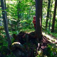 Anniqa  Kristensen's Photo