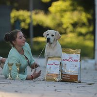 Fotos de Мария Сухотёплая