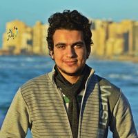 Mahmoud Gamal's Photo