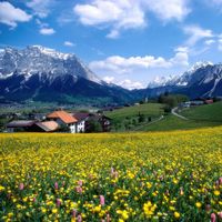 Photos de Thom Fredi