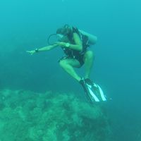 Cécile Genoud's Photo