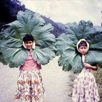 Nai-rung Kuo's Photo