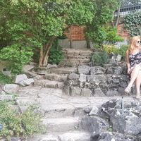 Tal Goldstein's Photo