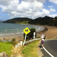 Raimundo Bravo's Photo