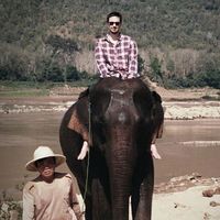 Robin Wils&#39;s Photo