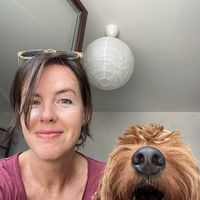 Mollywaddle Gorecake的照片