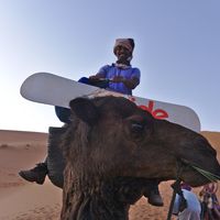 Farhad Yusufali的照片