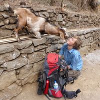 Christian Naaf's Photo