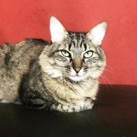 Fotos de Marcela  Nefe